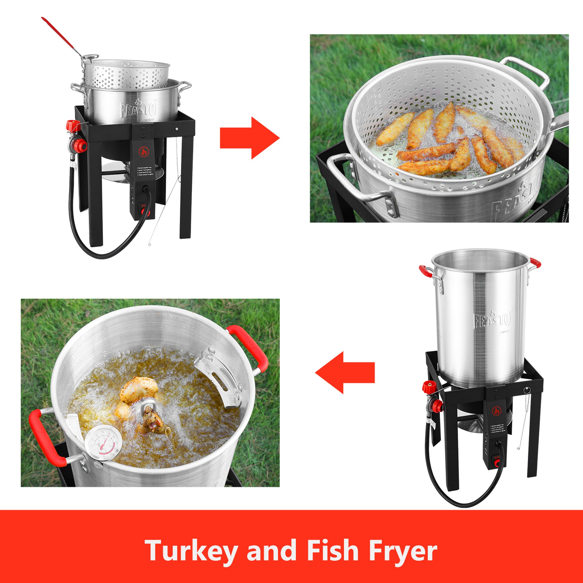 Electric Fish Fryer